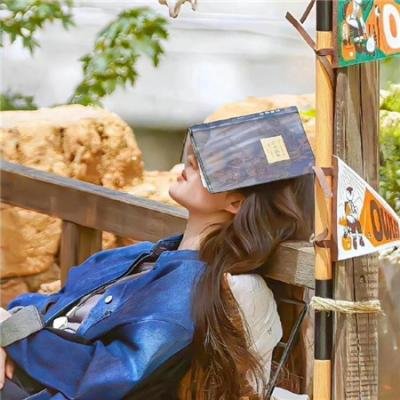 我靠摆摊买下一座岛